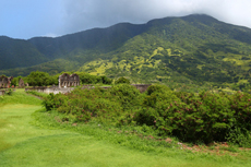 St. Kitts Mount Liamuiga Volcano cruise excursion